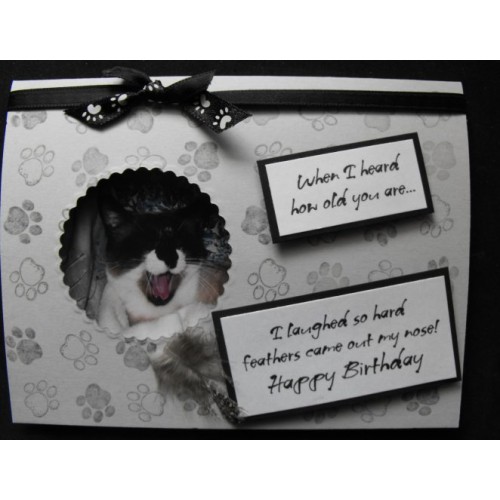 Cat Birthday Greeting Card - Cassia